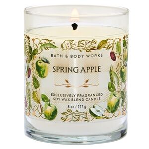 SPRING APPLE Bath & Body Works Single-wick Candle